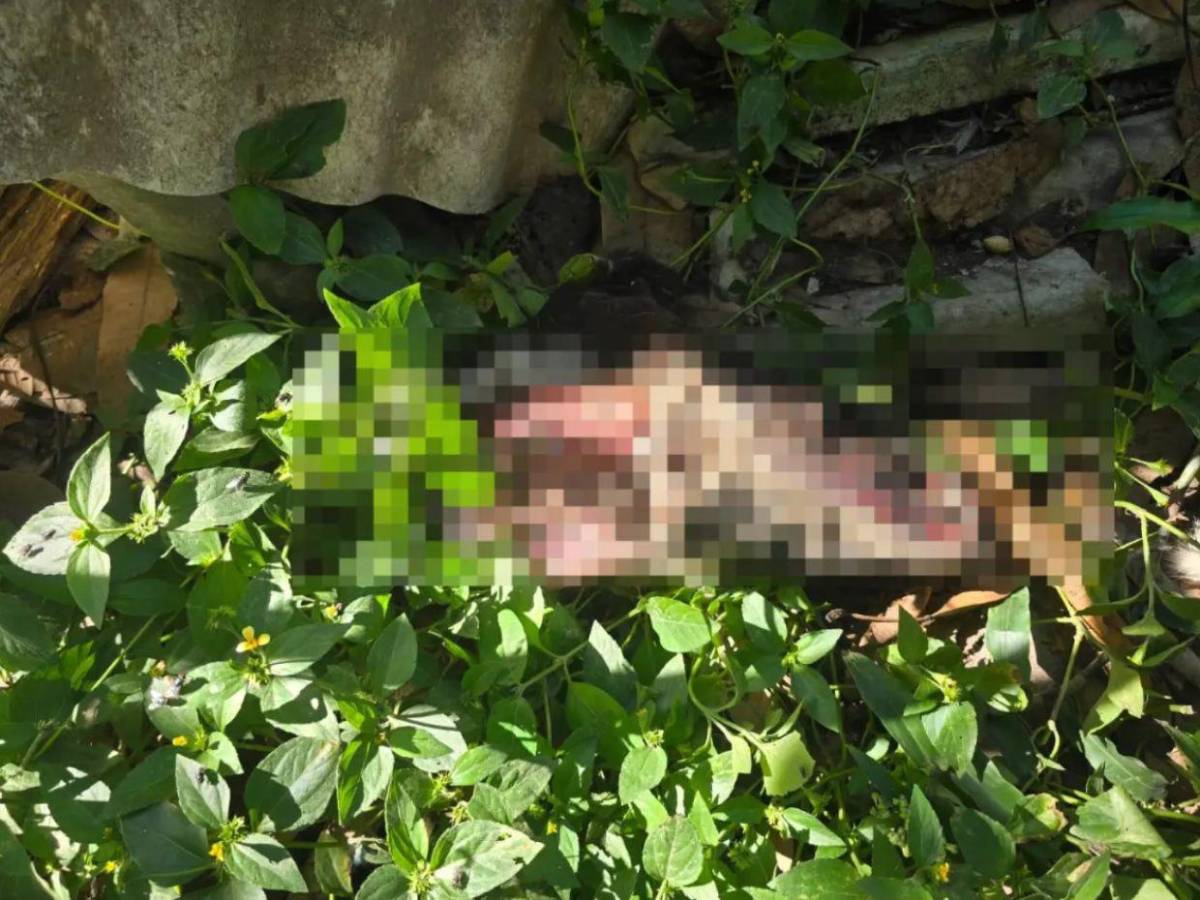 Vendedor de tacos en Siguatepeque es detenido tras encontrar restos de perros en su casa