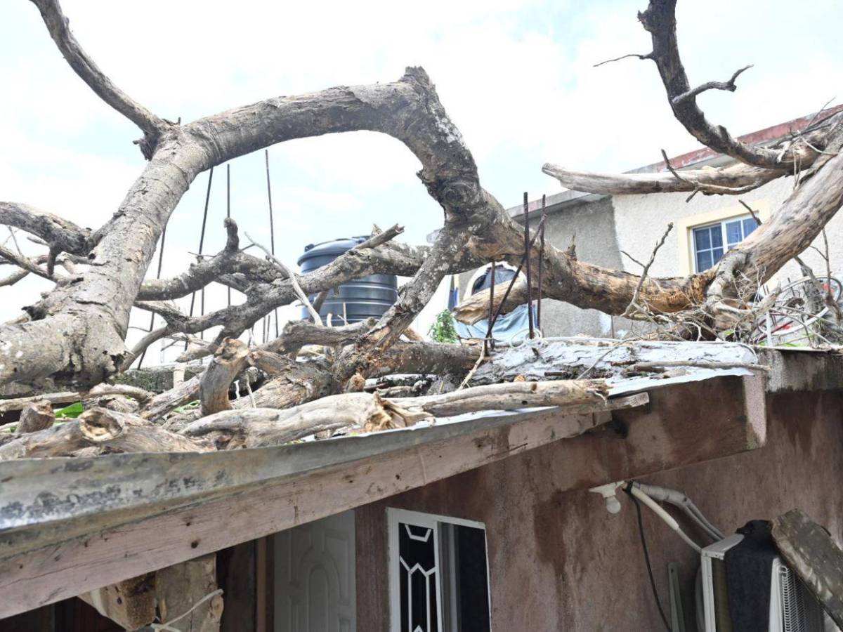 Aumenta a cuatro la cifra de muertos tras impacto de  huracán Melissa en Jamaica