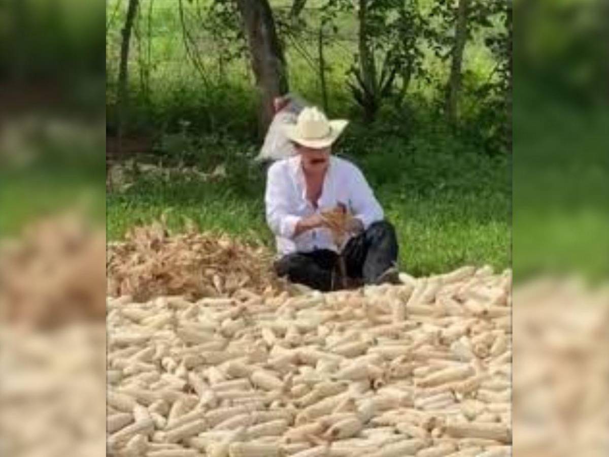 ¿A qué se dedicarán Xiomara Castro y Manuel Zelaya tras dejar el poder en Honduras?