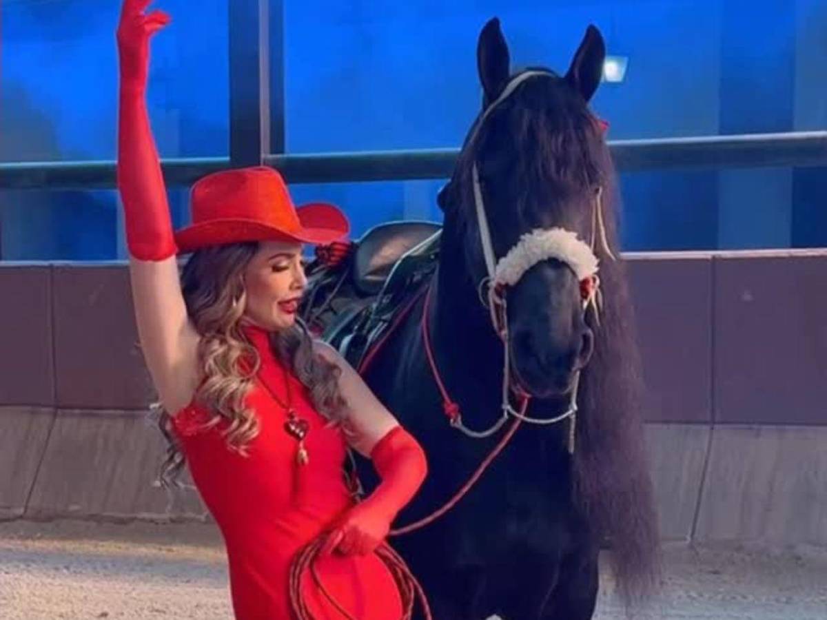 Paty Navidad vuelve a las telenovelas de Televisa después de años de ausencia y polémicas