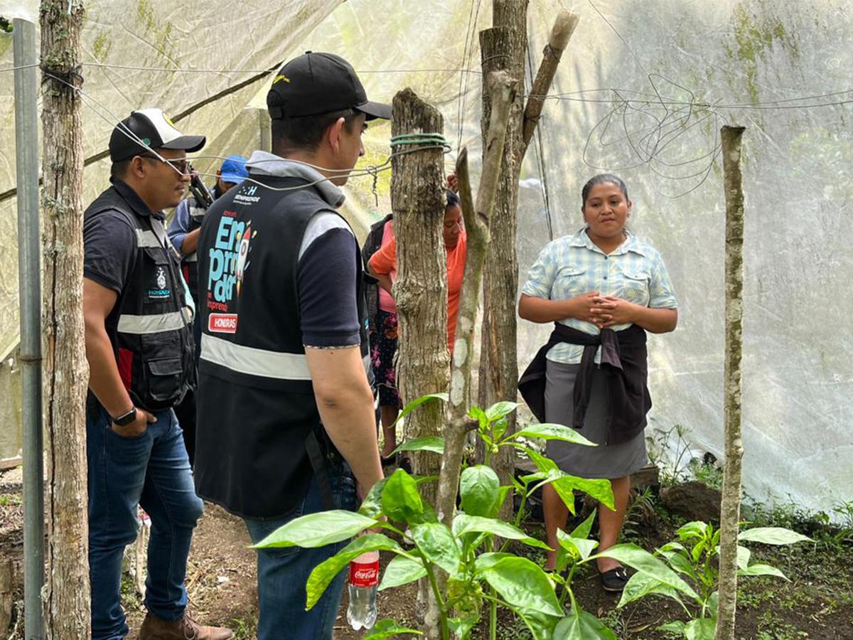 La visita técnica que realizó Senprende para socializar la iniciativa de Credimujer con las organizaciones de mujeres lencas en La Paz, que se dedican al cultivo del café, hortalizas y cría de cerdos.