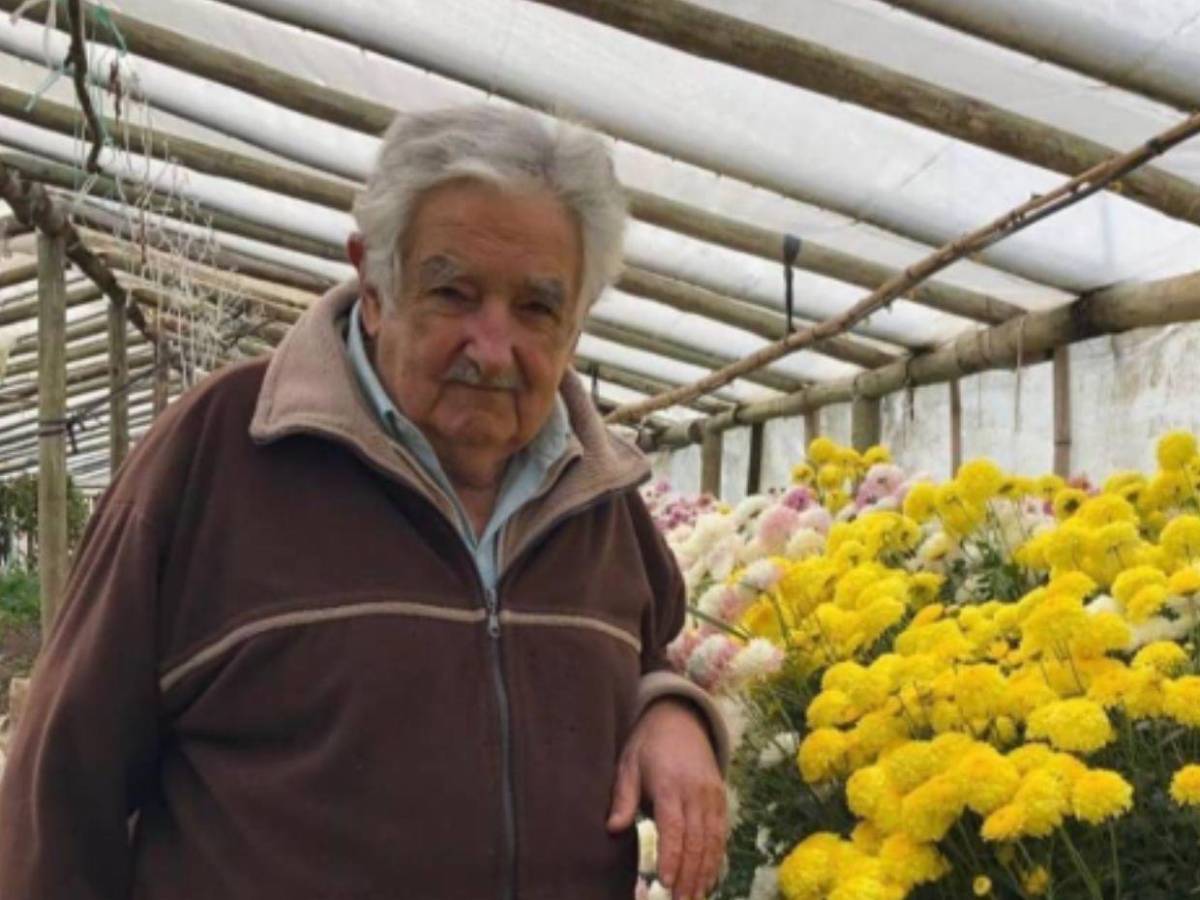 Exguerrillero, presidente y símbolo mundial: así fue la vida de Pepe Mujica