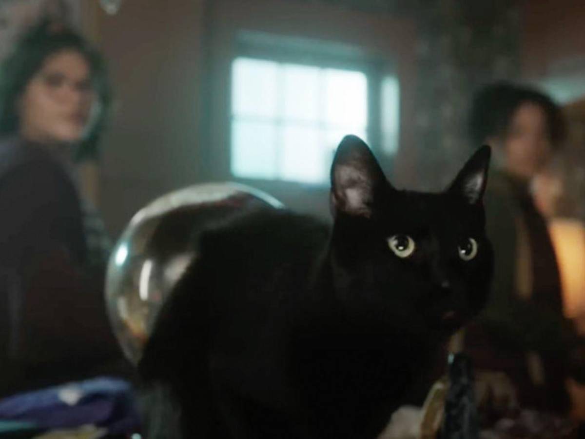 Actriz de Winifred Sanderson revela sus primeras impresiones de Abracadabra 3