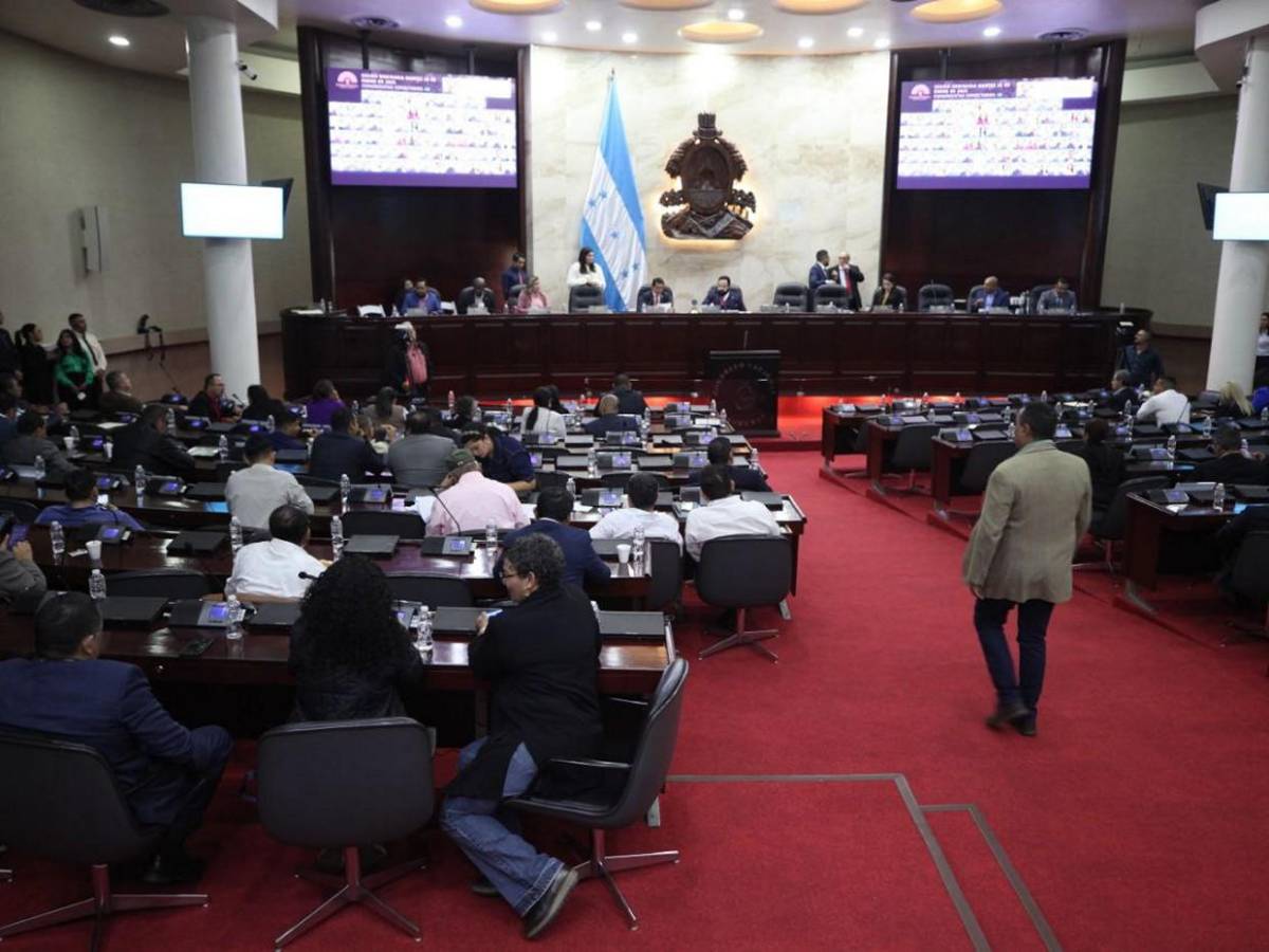 Entre contrapropuestas, Congreso Nacional debate Presupuesto General de 2025
