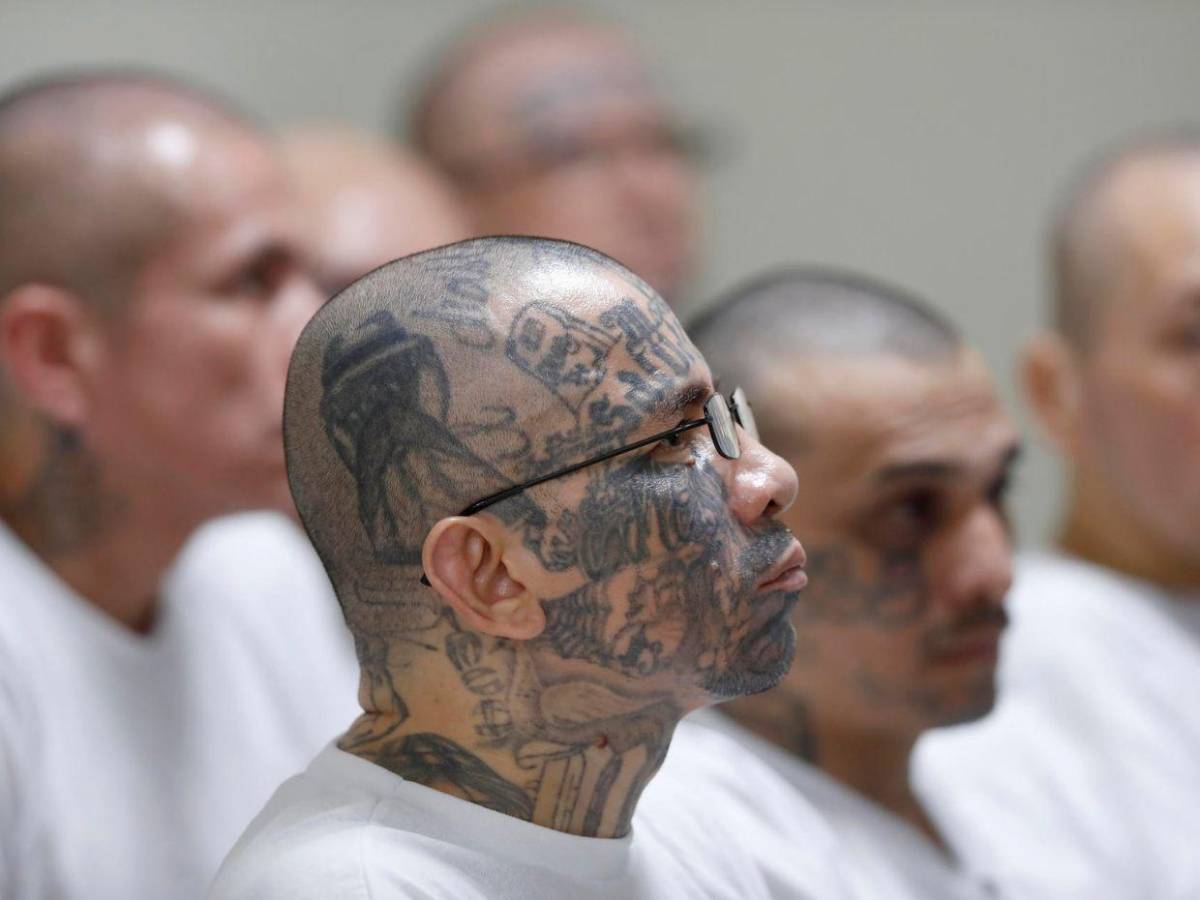 Las imágenes del inédito megajuicio contra más de 400 presuntos pandilleros en El Salvador