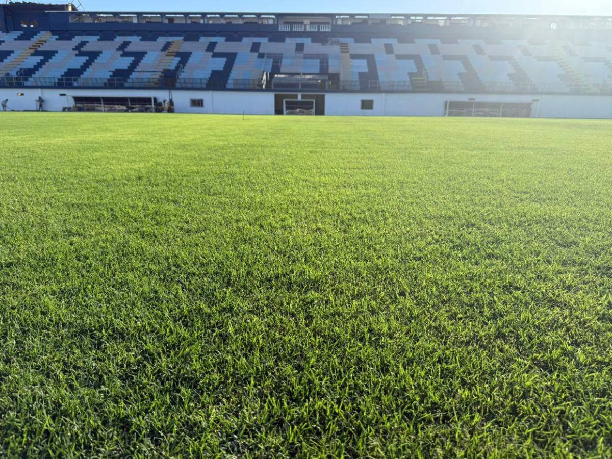 ¡Una belleza! Así está quedando el estadio Juan Ramón Brevé de Juticalpa con su nueva grama