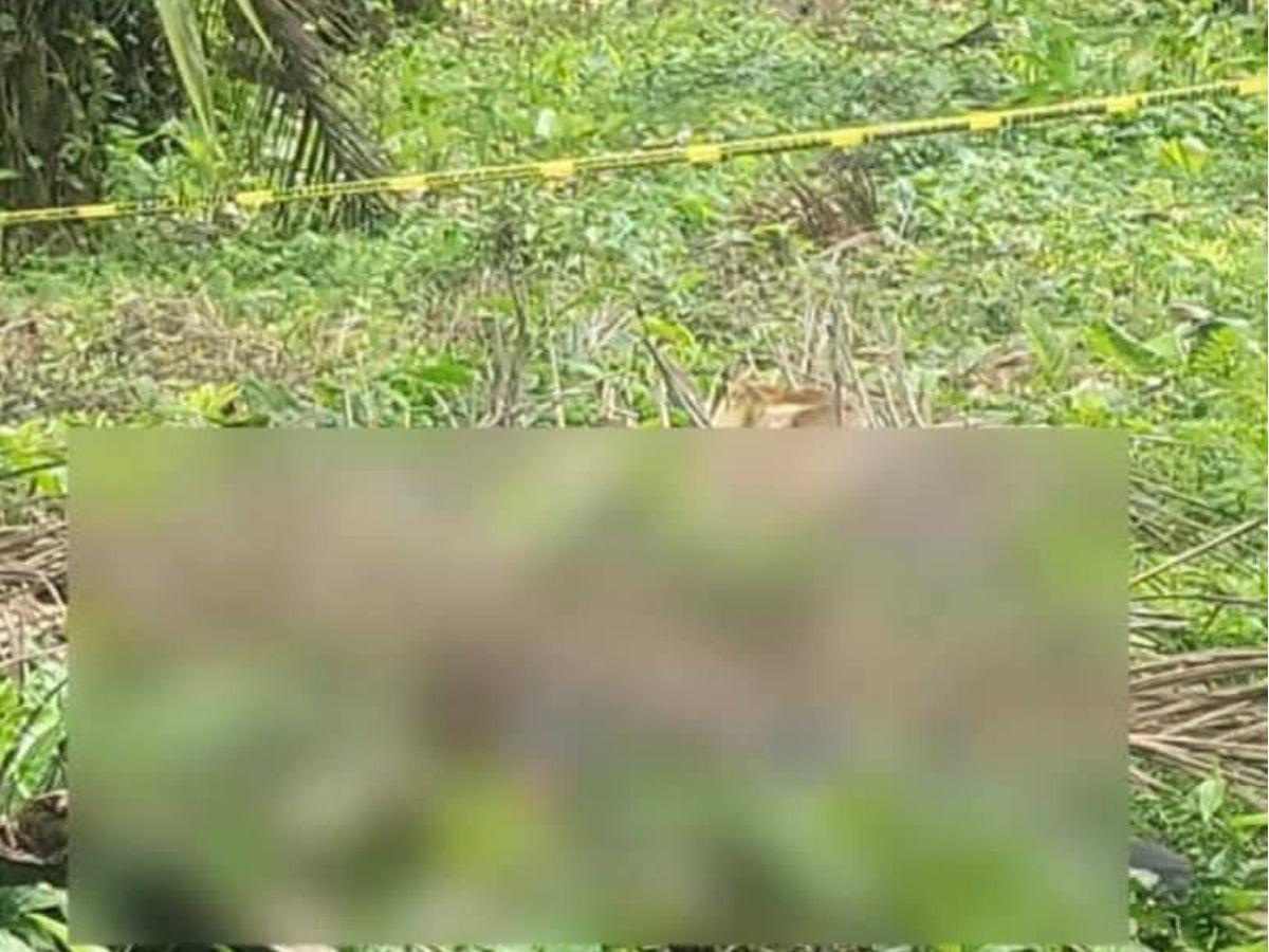 ¡El peor regalo! Asesinan a joven el día de su cumpleaños en El Porvenir, Atlántida