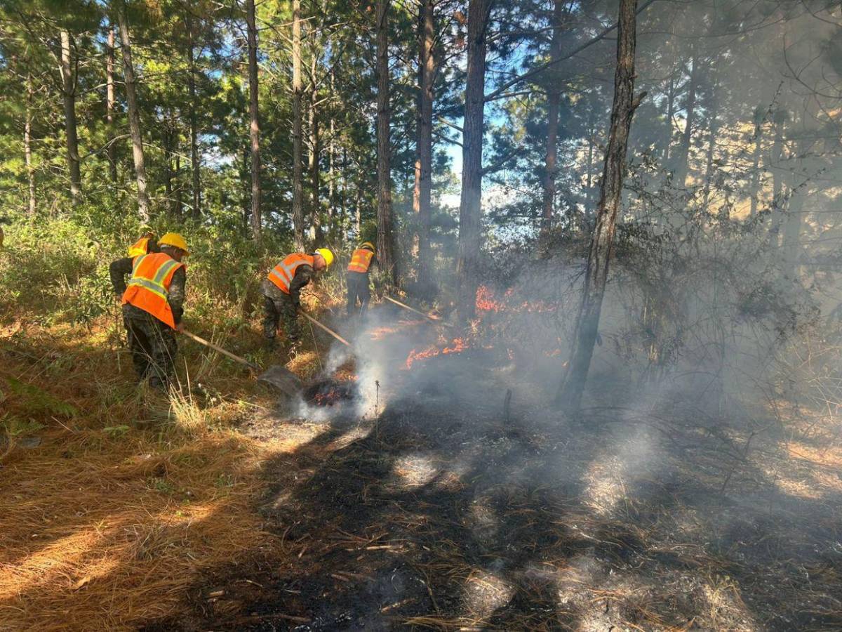 FF AA combaten siete incendios forestales en distintas zonas del país