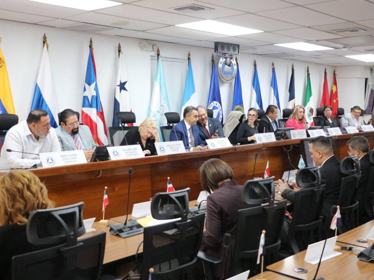 ¿Quiénes son los diputados electos por Honduras al Parlacen y cuánto ganarán?