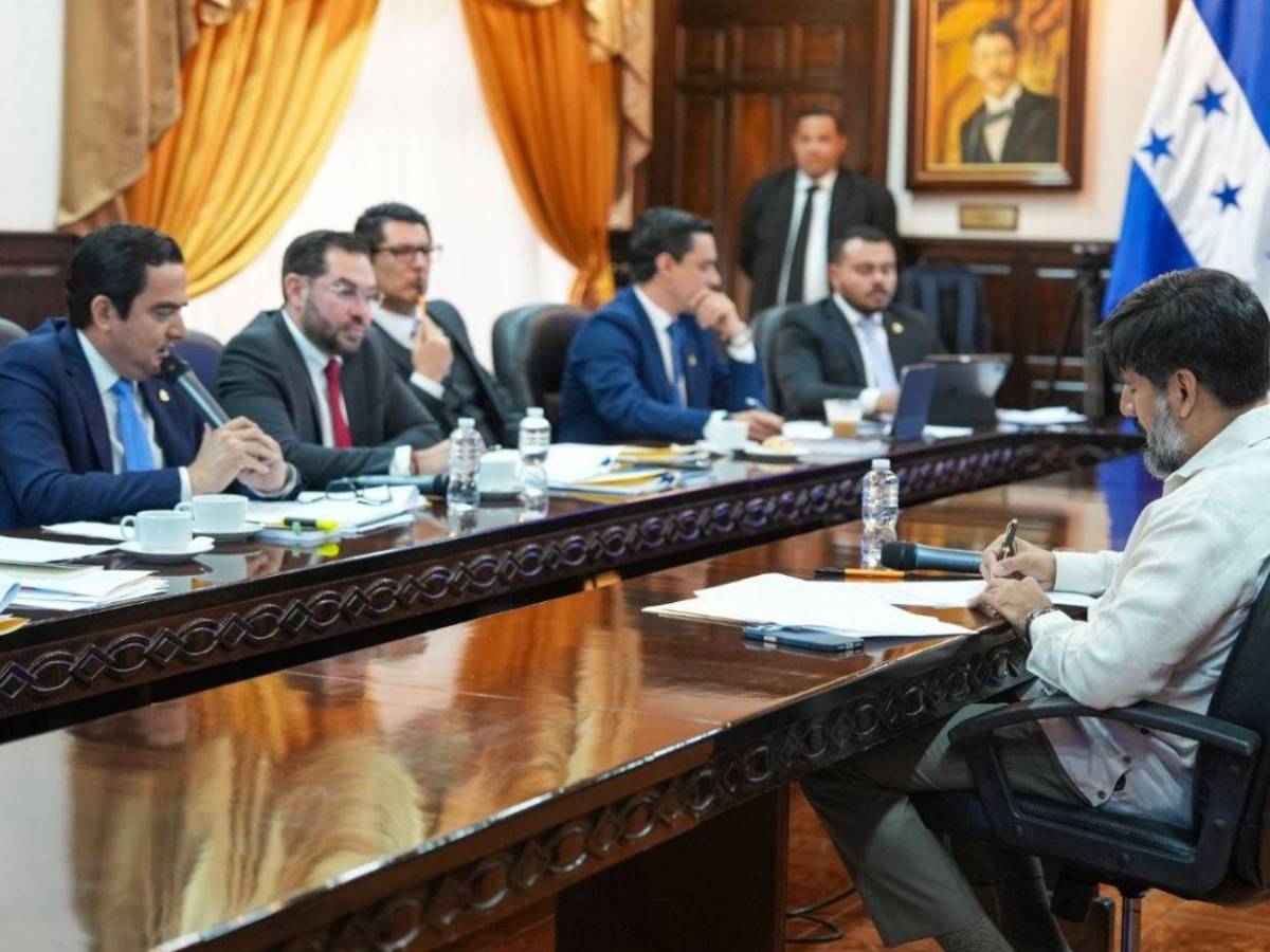 Ellos son los diputados que integran la comisión especial contra Johel Zelaya