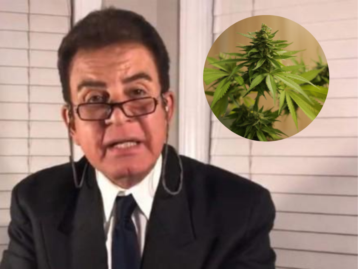 Nasralla propone legalizar el cultivo de cannabis para uso medicinal en Honduras
