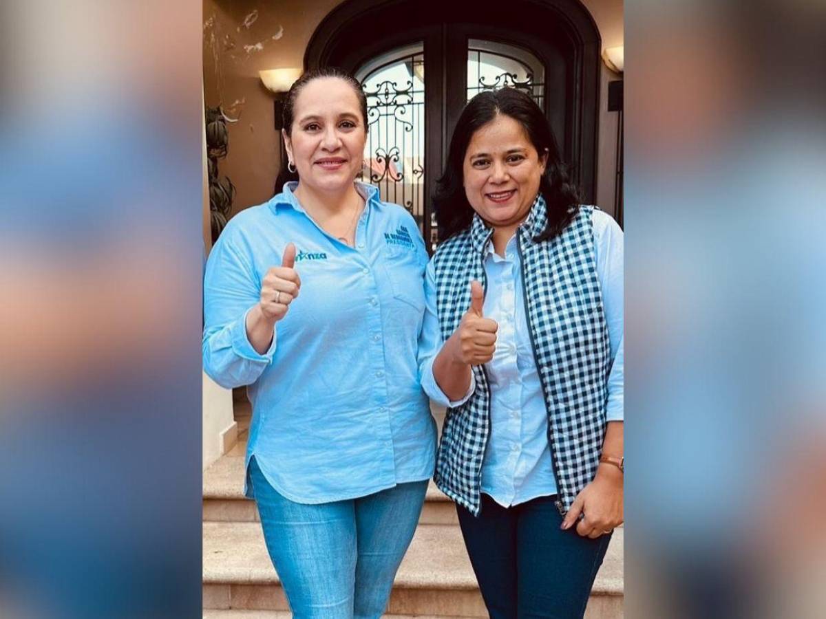 Precandidatos a diputados por Francisco Morazán en el movimiento “Avanza” de Ana García