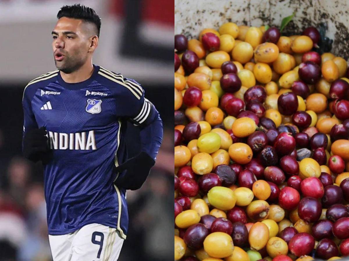 ¿De qué se trata? El negocio que iniciaron Falcao y Ter Stegen en Honduras