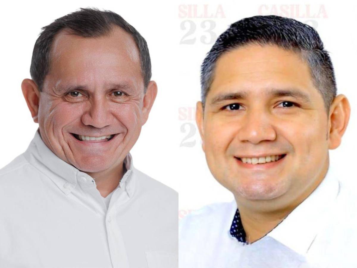 Diputados de Libre que buscan ser reelectos en las primarias del 9 de marzo