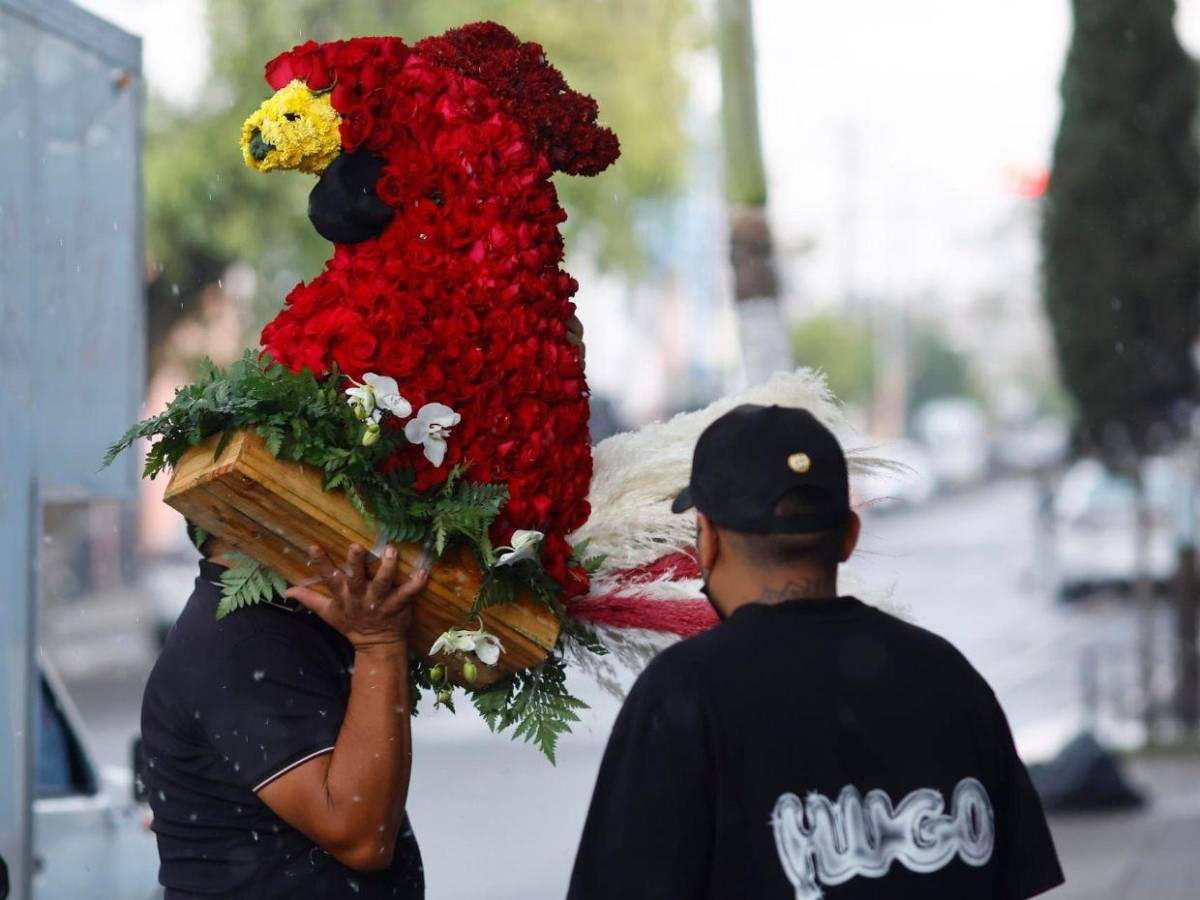 Adela Micha critica el despliegue militar en funeral de El Mencho: No se ve ni en películas