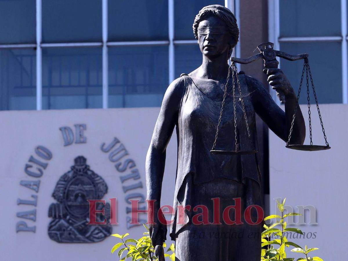 Dos organizaciones aún no definen a sus representantes ante Junta Nominadora