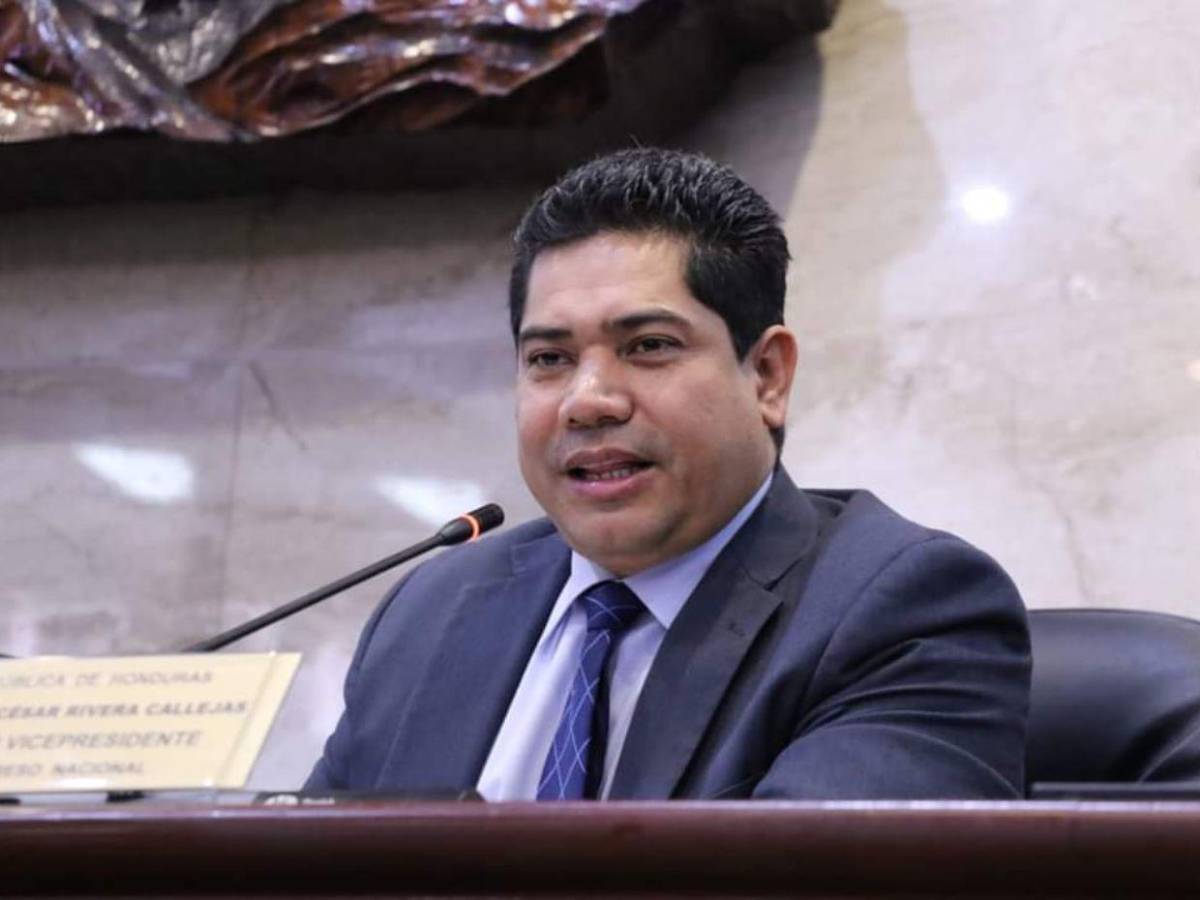 Diputados con más de una década en el Congreso Nacional que buscan reelegirse