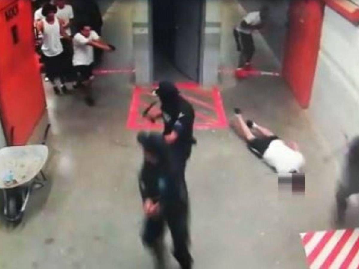 Van 25 asesinatos por el botín de oro, dólares y armas de Magdaleno Meza