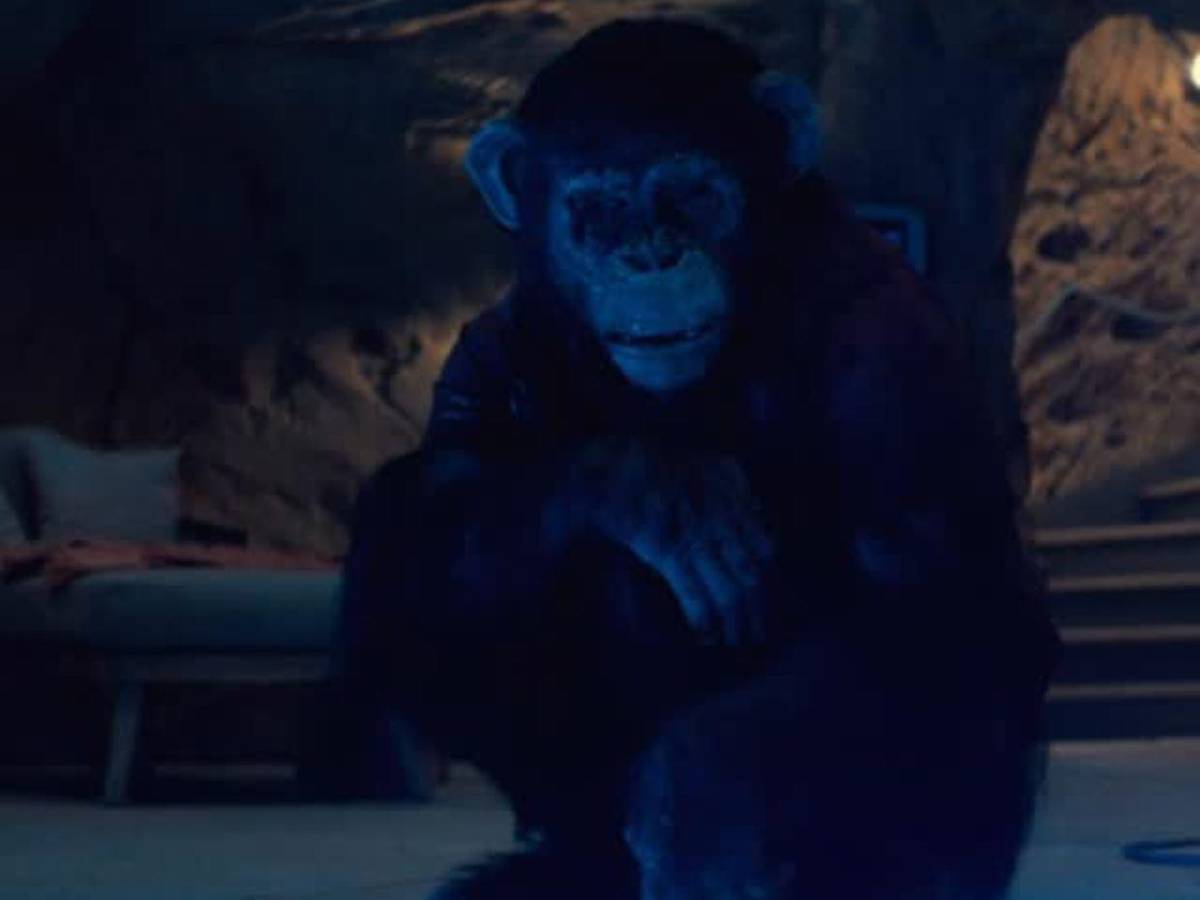 El chimpancé rabioso de Primate aterroriza las salas hondureñas desde mañana