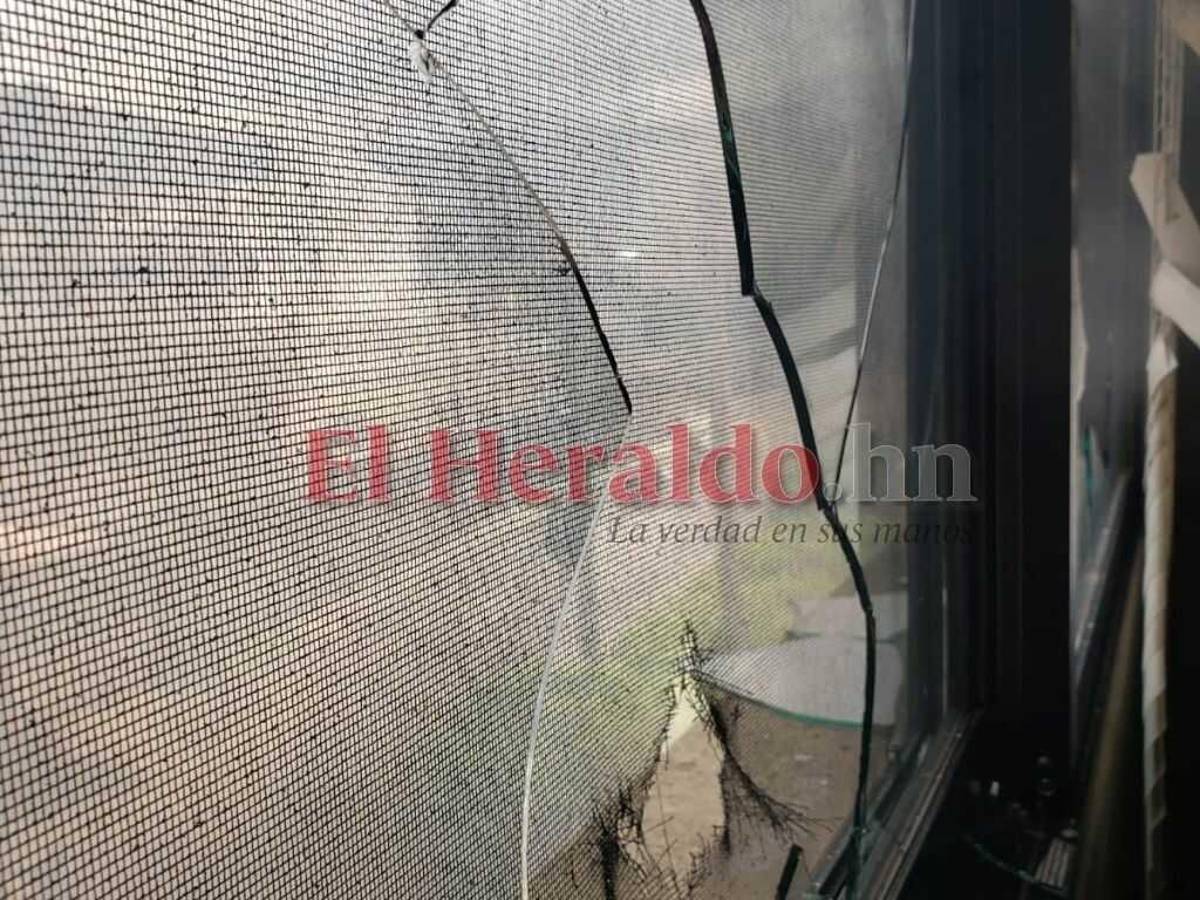 Ventanas, cortinas y vidrios rotos: los daños que dejó la protesta en las oficinas de Ciudad Mujer