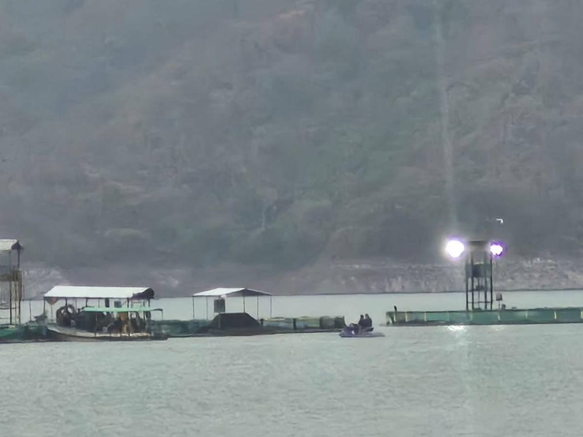 Rostros: ellos son los ahogados en El Cajón al revisar jaulas de pesca, ¿qué sucedió?