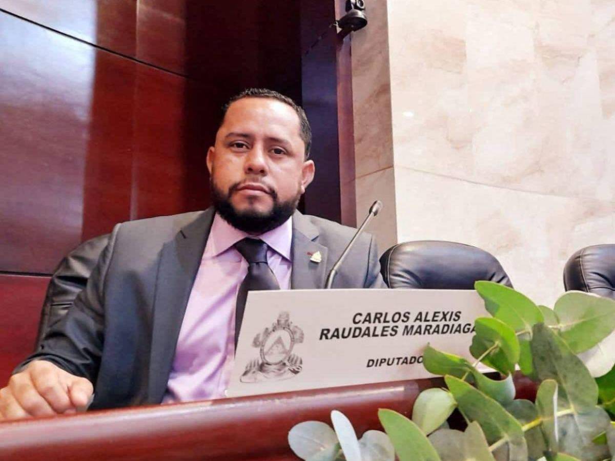 ¿Quiénes integran la comisión permanente del Congreso Nacional?