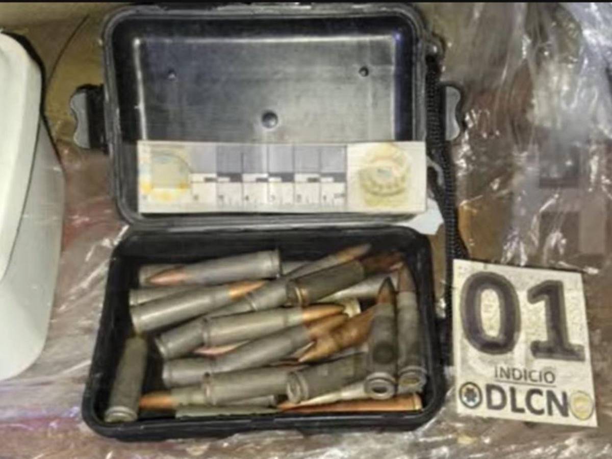 Hallaron municiones, cocaína, marihuana y piedra: así es la vivienda allanada a agentes de la DAET