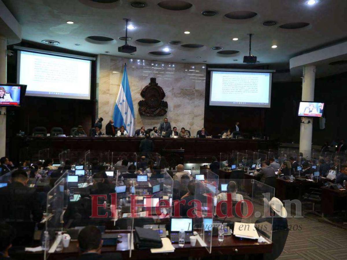 Diputados violan Ley Orgánica del Congreso Nacional al pedir amnistía