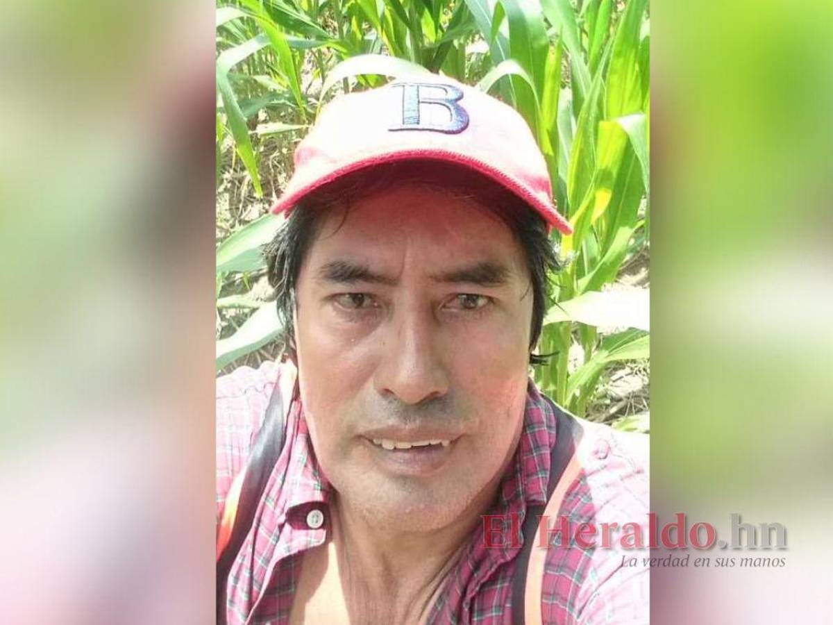 Gobierno asegura que respetará el derecho de la propiedad privada en Honduras