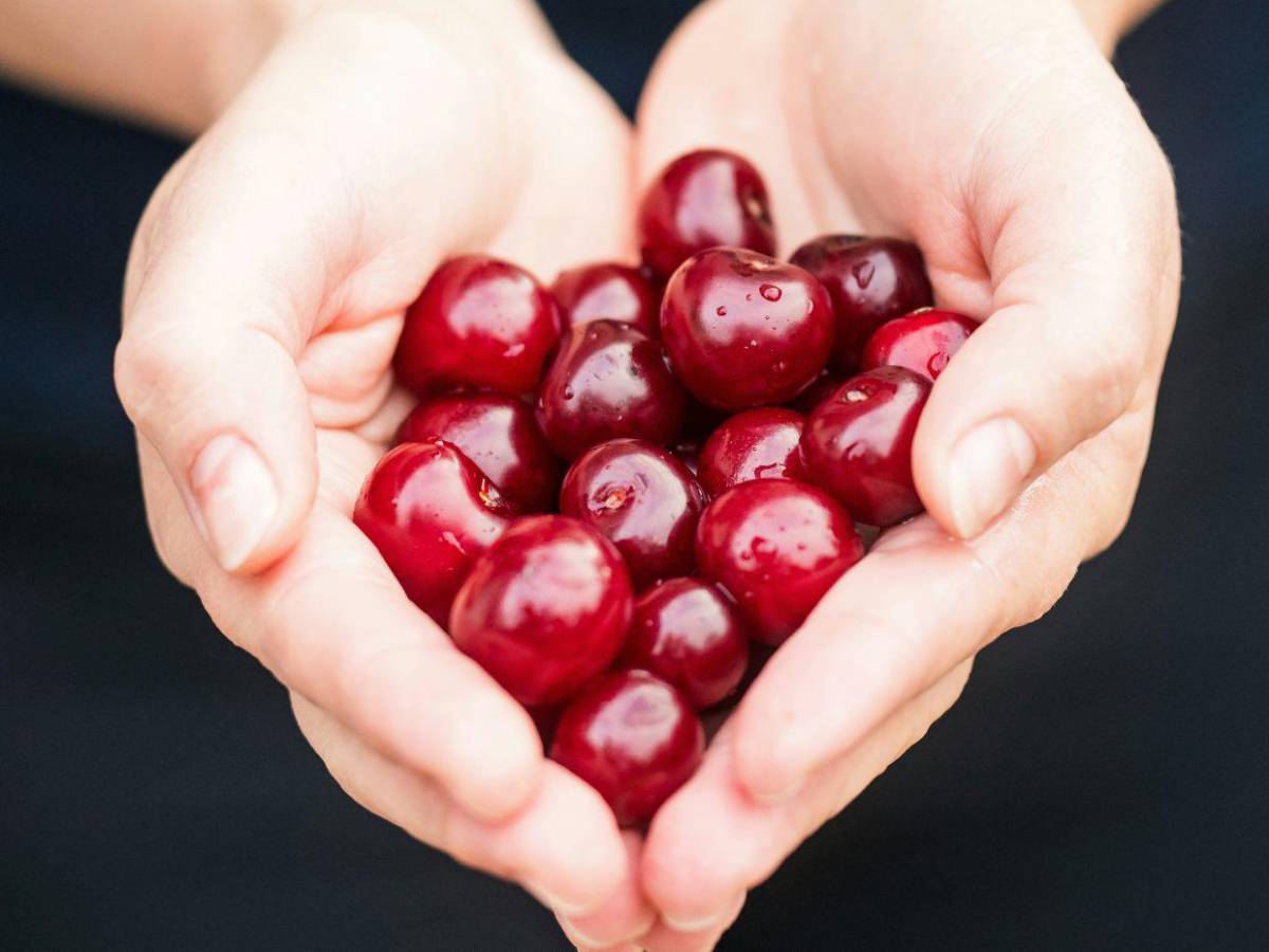 Los alimentos que no deben faltar en su despensa