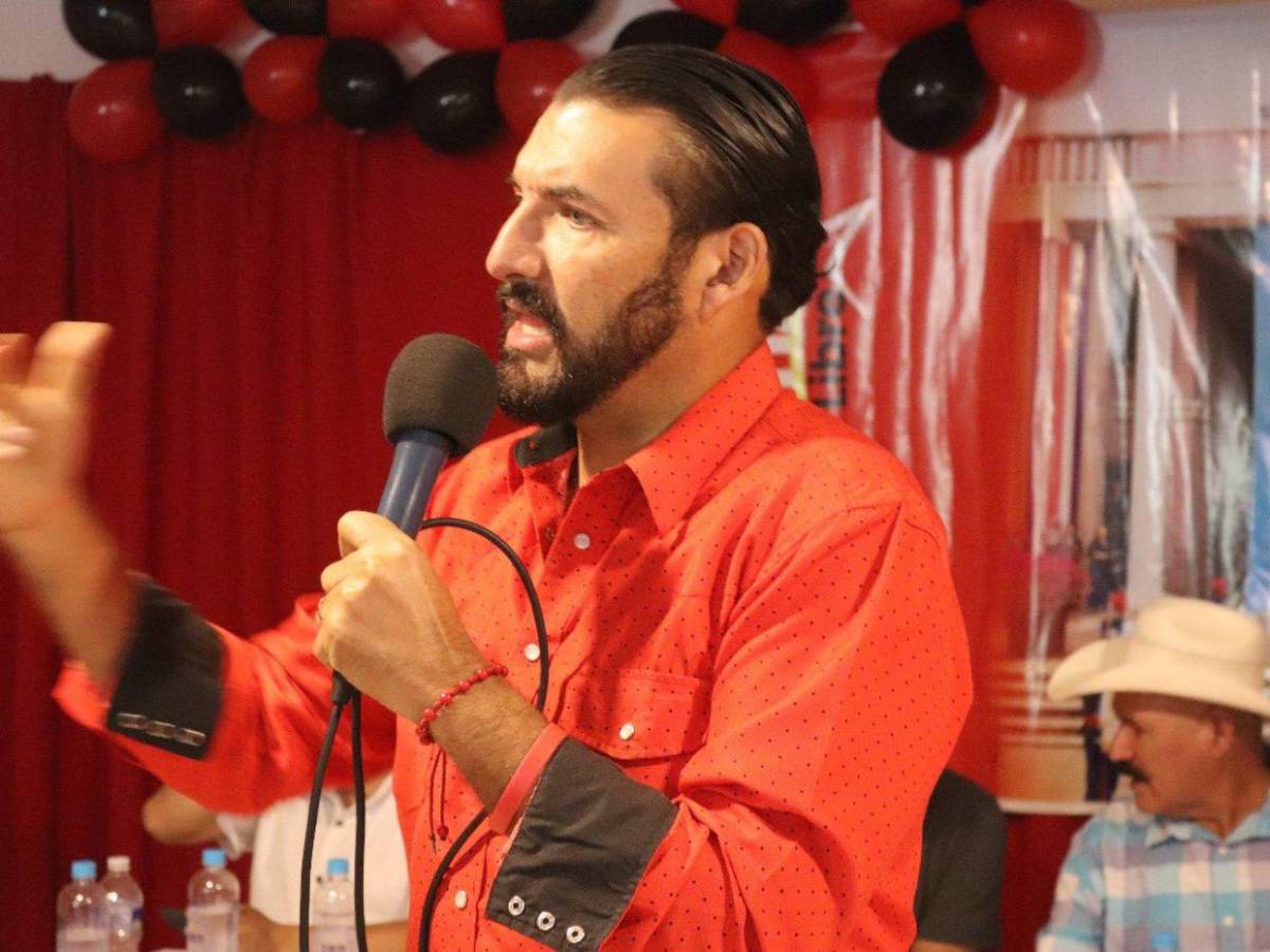 Los rostros de los precandidatos presidenciales en las elecciones primarias de 2025