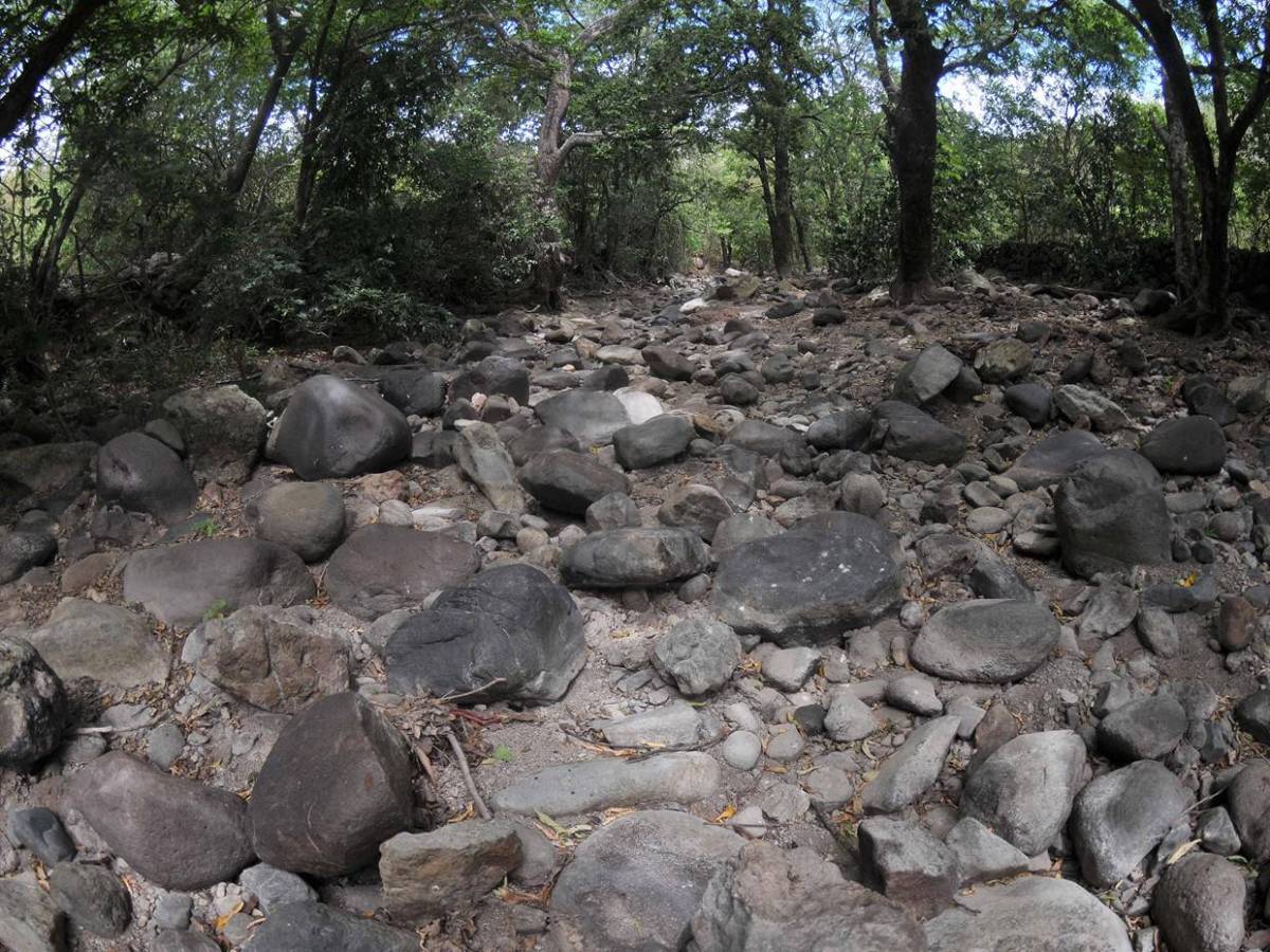 El dolor humano tras la sequía: en el Corredor Seco la situación es crítica, insostenible y urgente