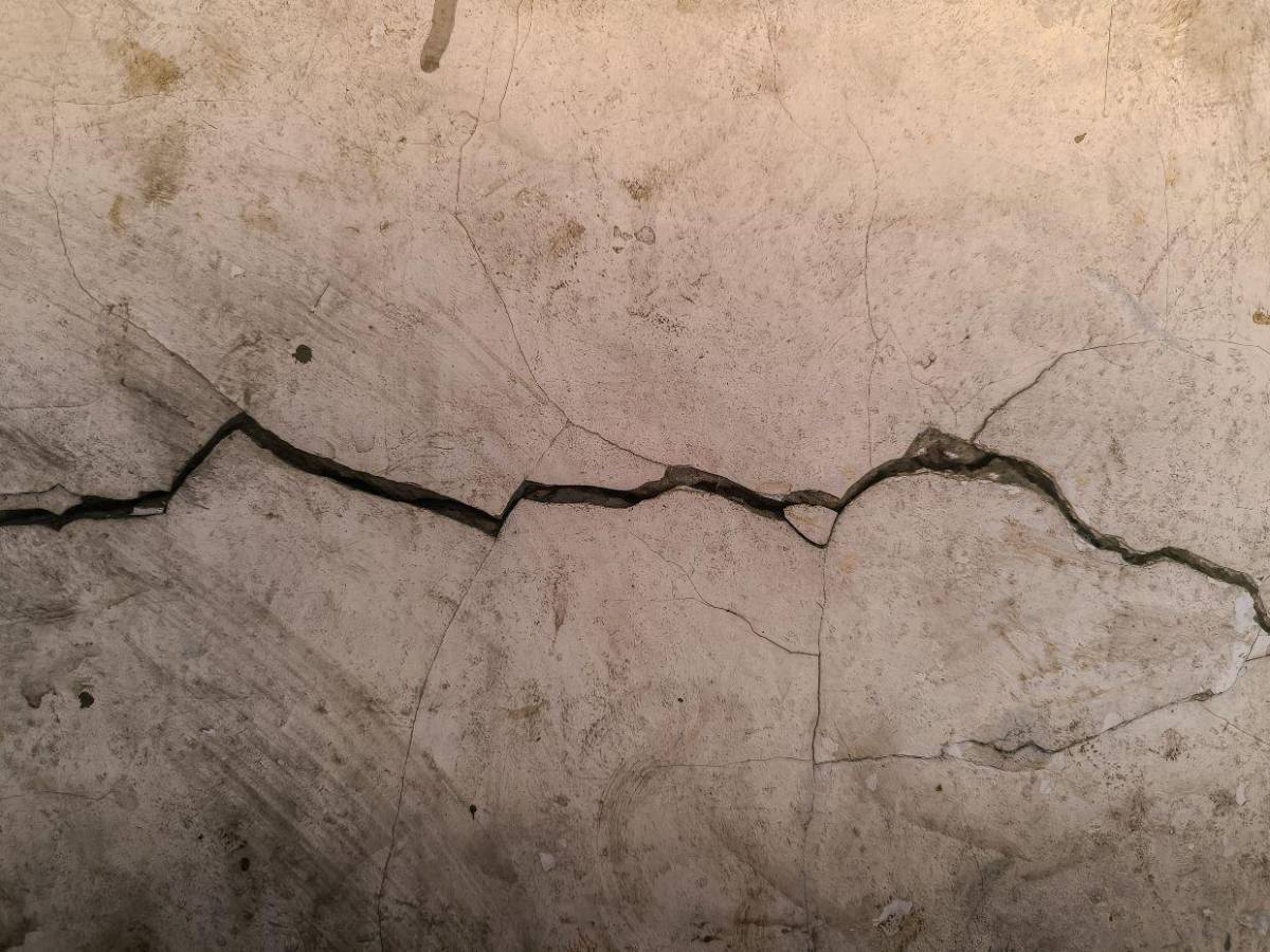 ¿Habrá un “gran terremoto” en el oeste de Estados Unidos? Esto dicen las predicciones