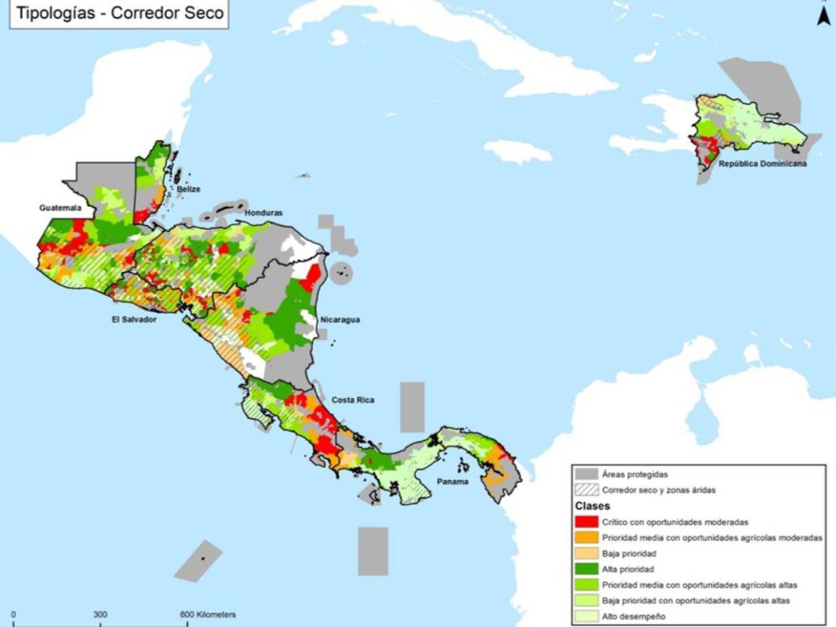 ¿Cómo saber qué y cuándo sembrar ante las sequías y el calor extremo en Centroamérica?