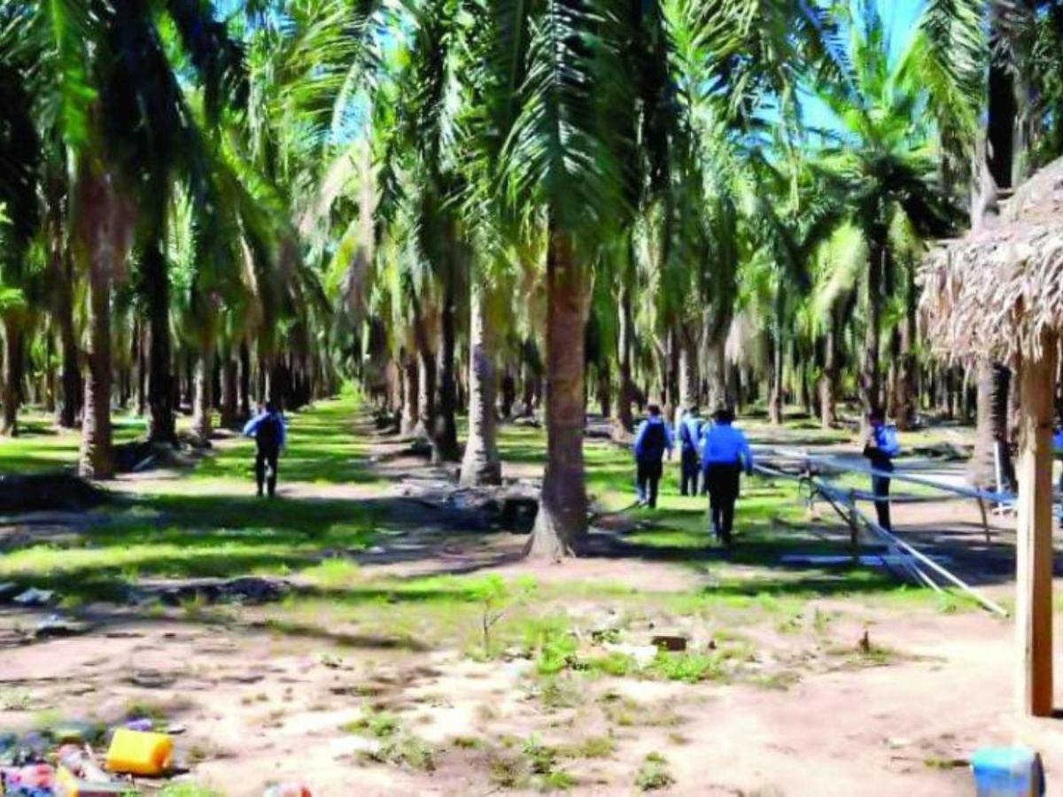 Tensión por conflicto agrario genera temor en Colón