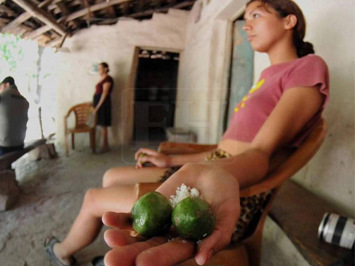 El dolor humano tras la sequía: en el Corredor Seco la situación es crítica, insostenible y urgente