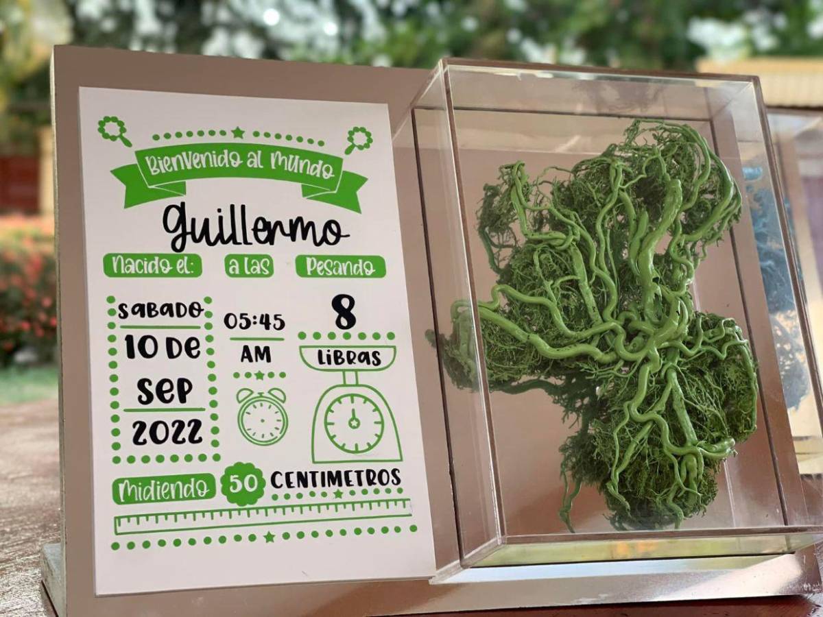 Hondureño transforma placentas en arte y huesos en esculturas sorprendentes