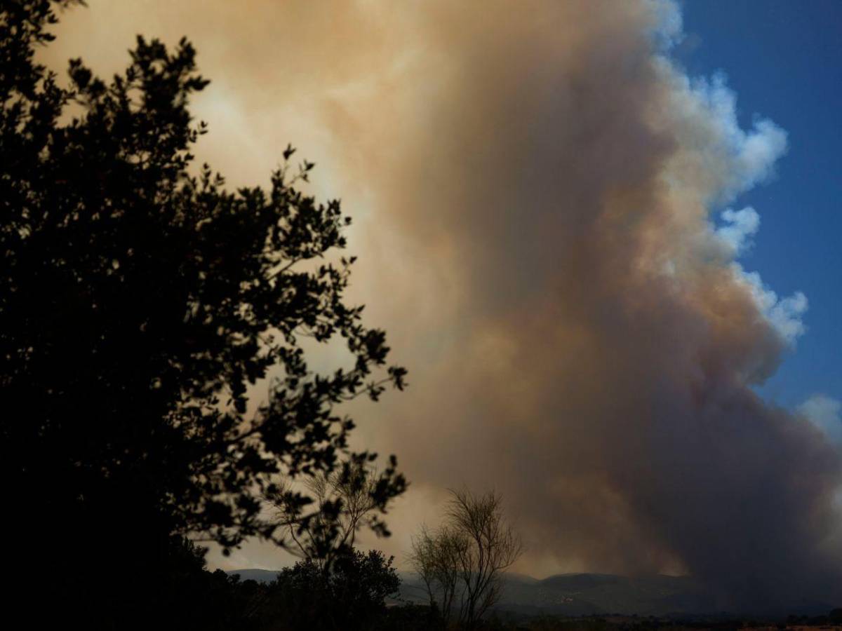 77,000 hectáreas quemadas en el centro de España mientras empieza a contenerse el fuego