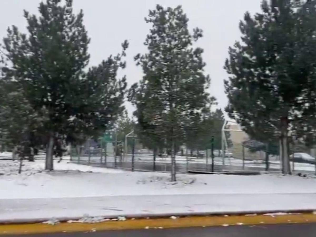 Onda gélida afecta al norte de México con temperaturas bajo cero