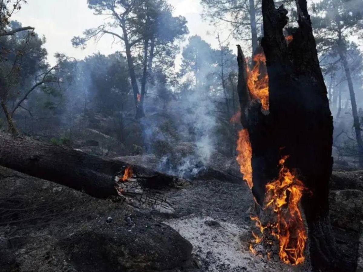 77,000 hectáreas quemadas en el centro de España mientras empieza a contenerse el fuego