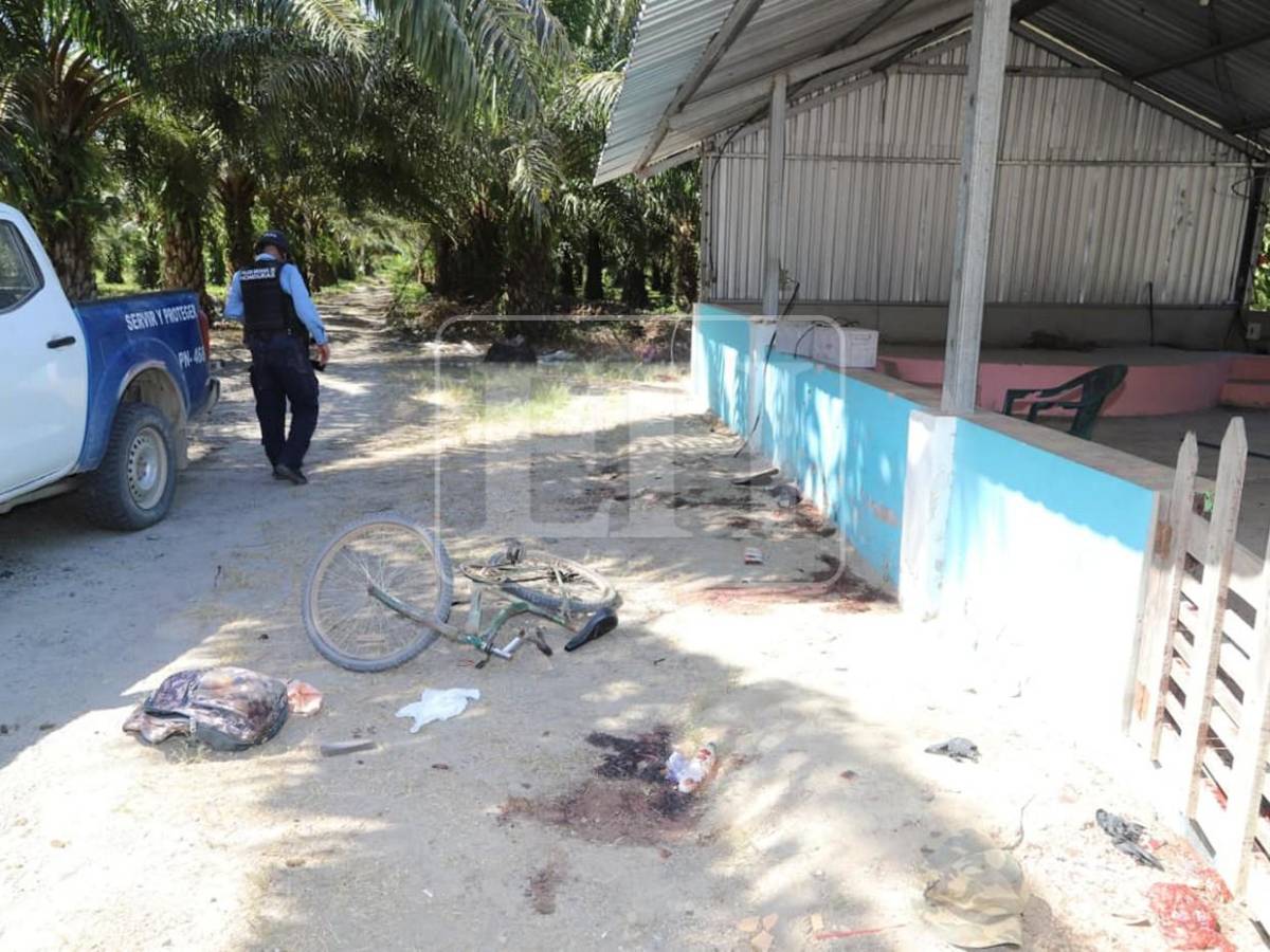 Restos de cerebro en finca de Trujillo evidencian la brutalidad con que se cometió el crimen