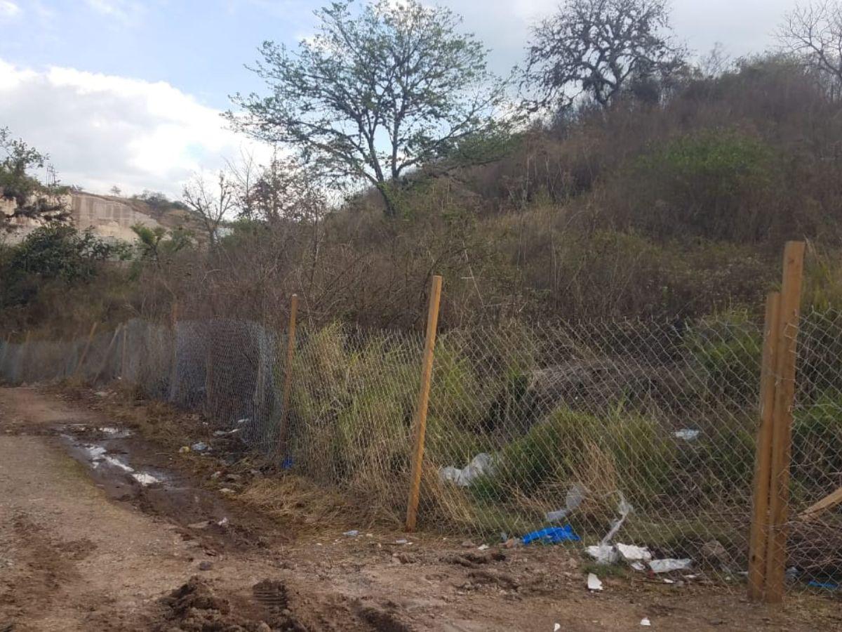 Alertan que invasores de tierras asedian colonia Los Periodistas