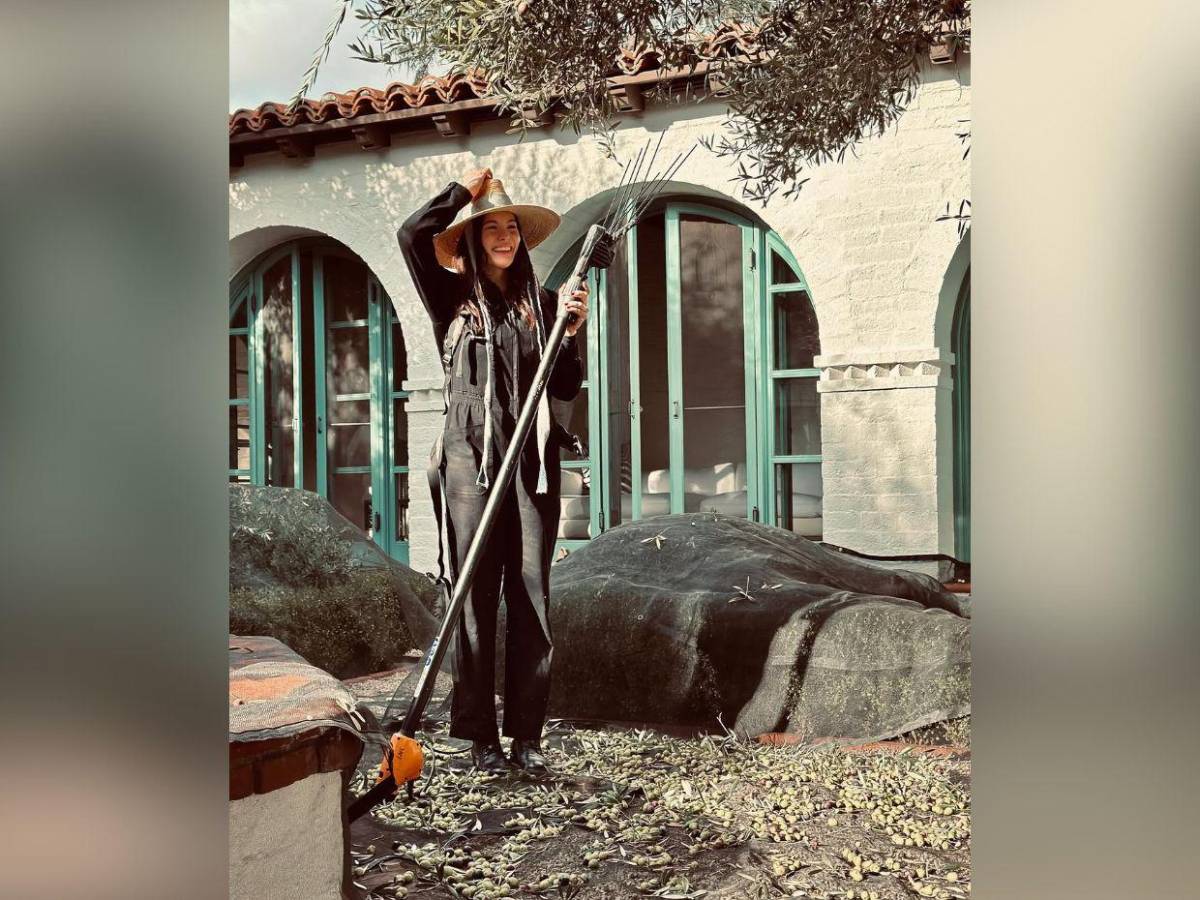 Tras Capitán América, Liv Tyler regresa a la paz de su granja