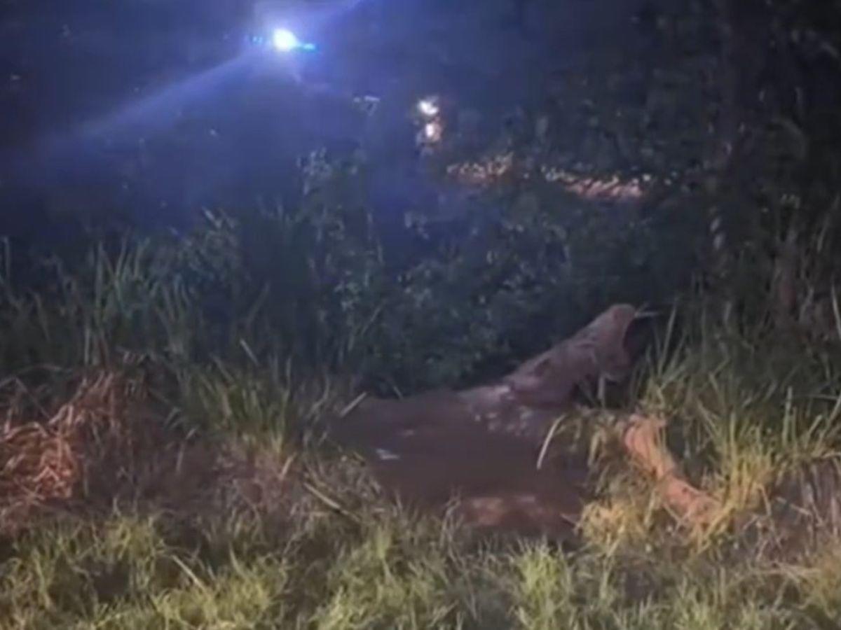 Hallan muerto a hombre que estaba desaparecido en Cortés