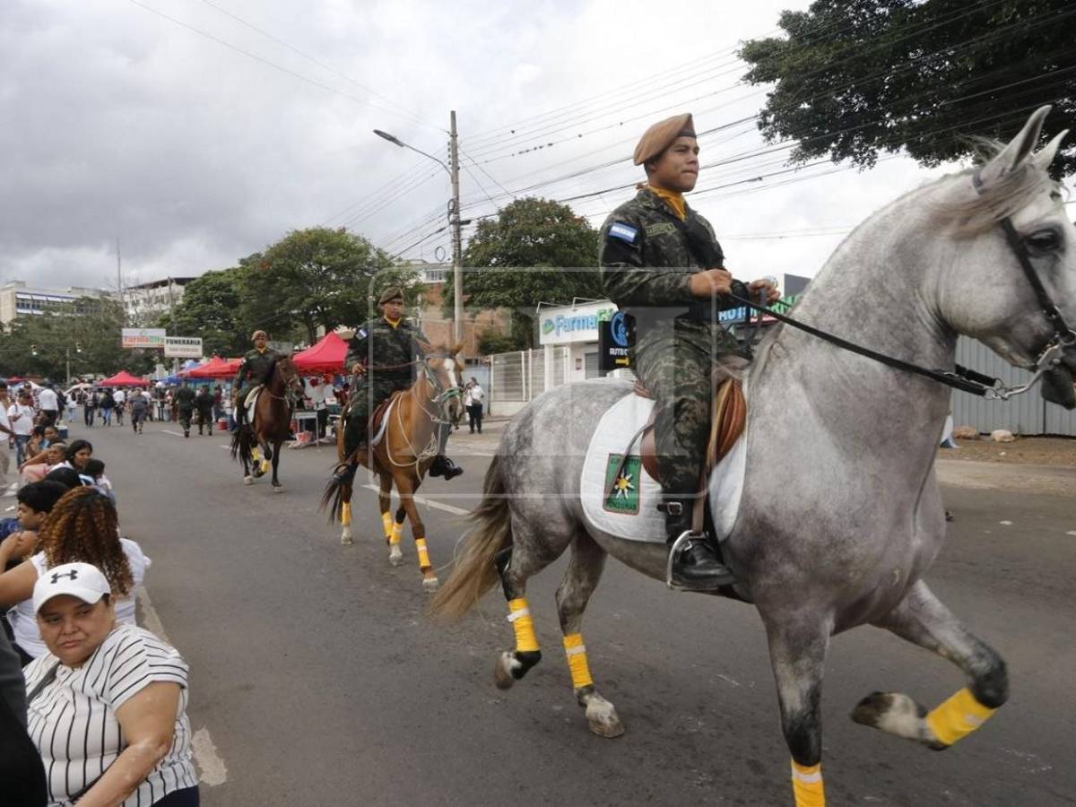 Disciplina y patriotismo: militares, policías y bomberos destacan en los desfiles patrios