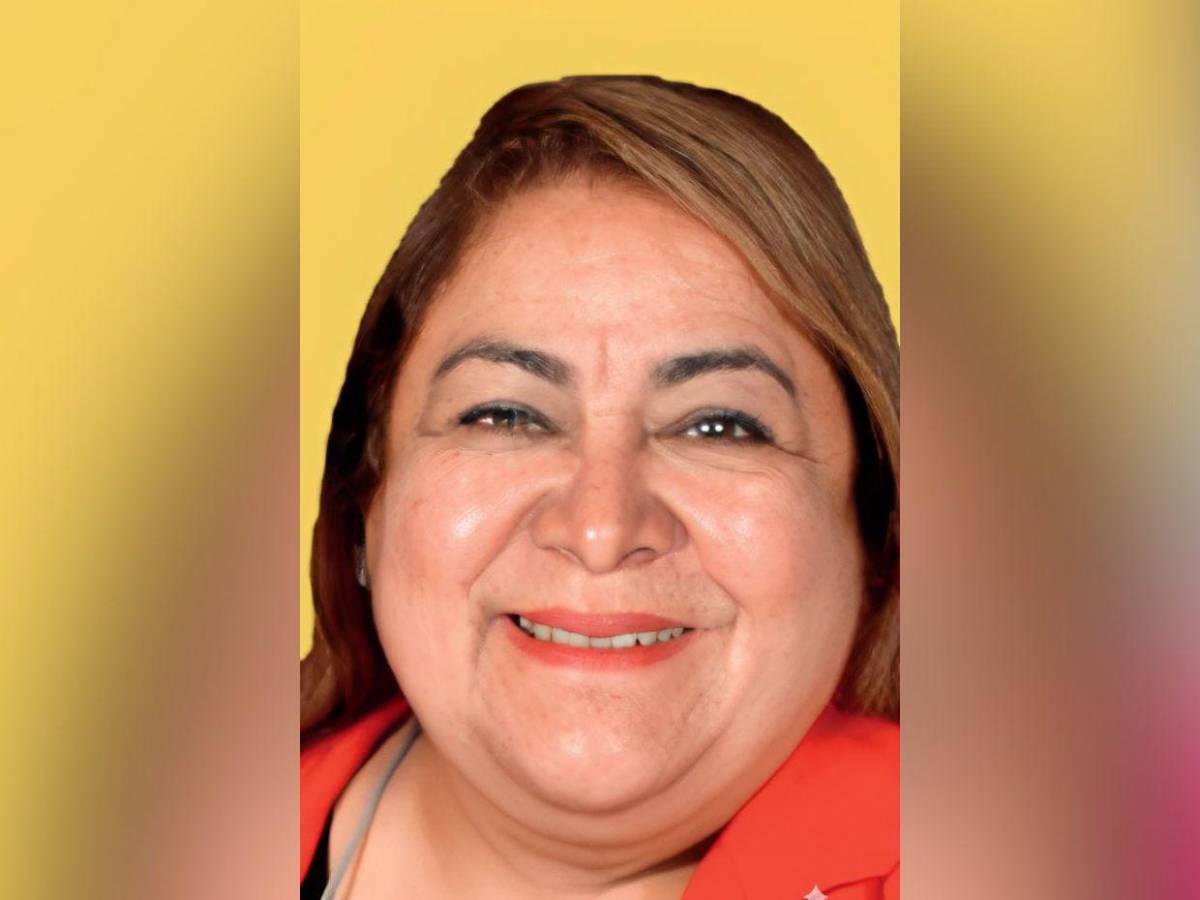 Los rostros de los precandidatos a diputados del movimiento “MEL” por Francisco Morazán