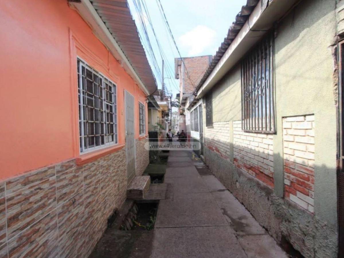 Escuchábamos llorar al perro: Vecinos revelan el trato que recibía el pitbull que mató a su dueño en Tegucigalpa