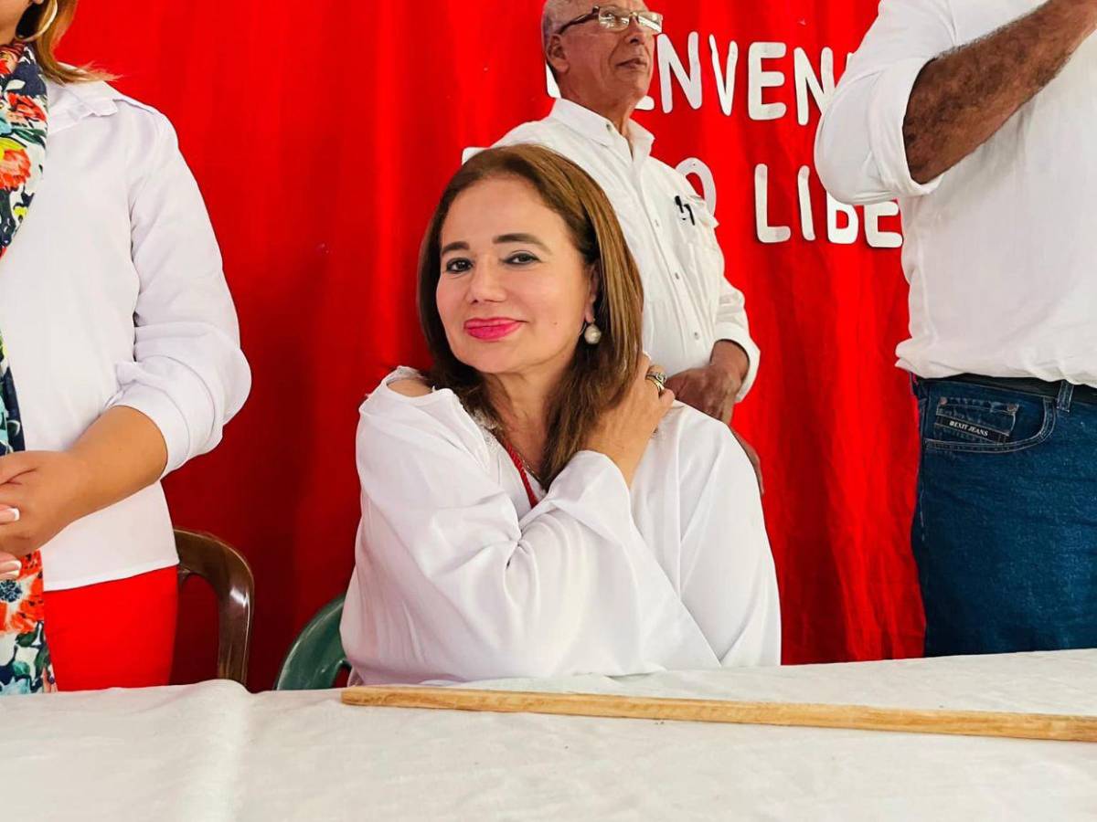 Diputados con más de una década en el Congreso Nacional que buscan reelegirse