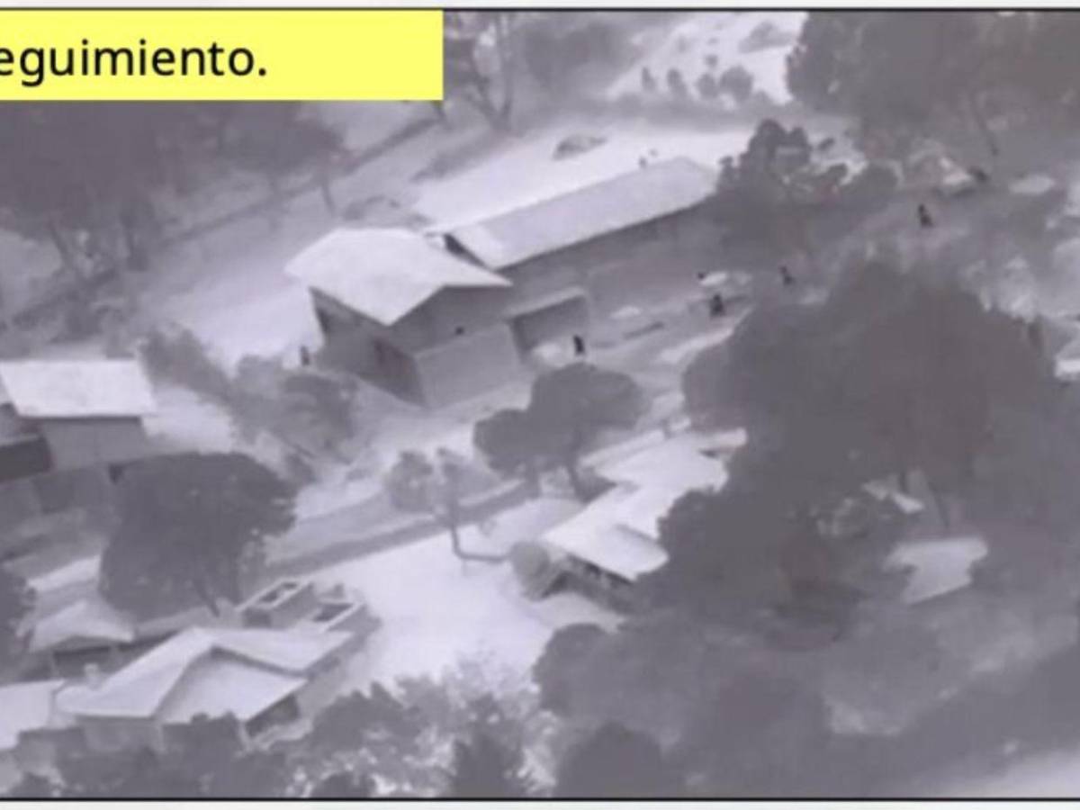 Información de EE UU, una pareja sentimental y un bosque: así fue la caída de El Mencho