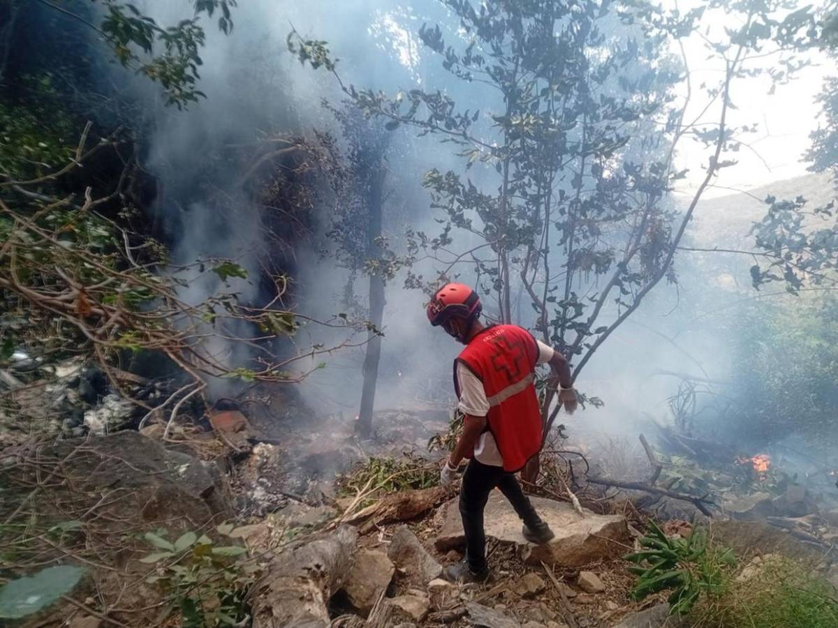 Imposible recuperar los cuerpos: la tragedia aérea donde murió gerente de Telemundo y un alto funcionario de Ecuador
